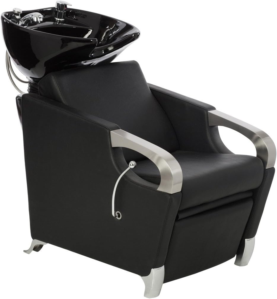 Hair Wash Unit (Professional)